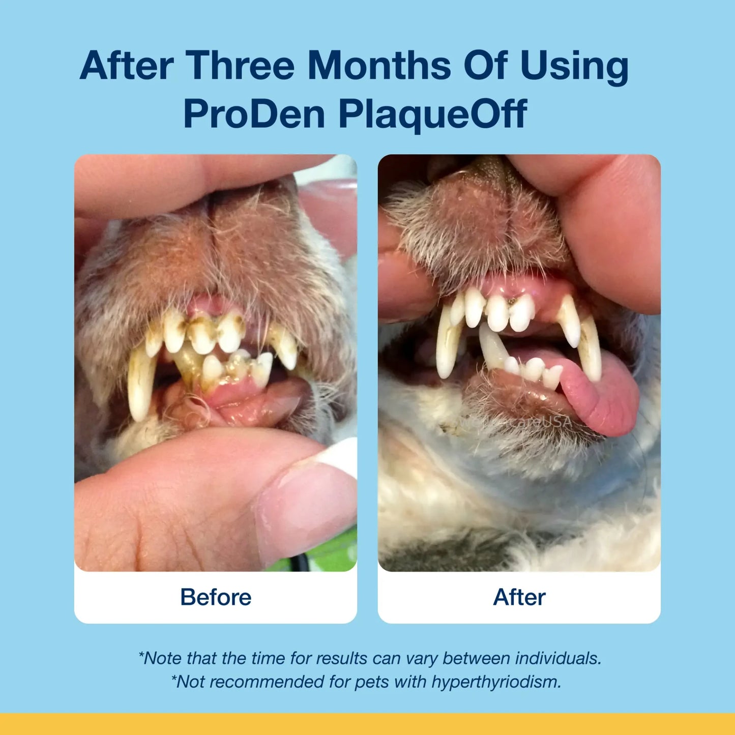 ProDen - PlaqueOff Cat Soft Chews - 112.5GM (3.9oz) - 45CT