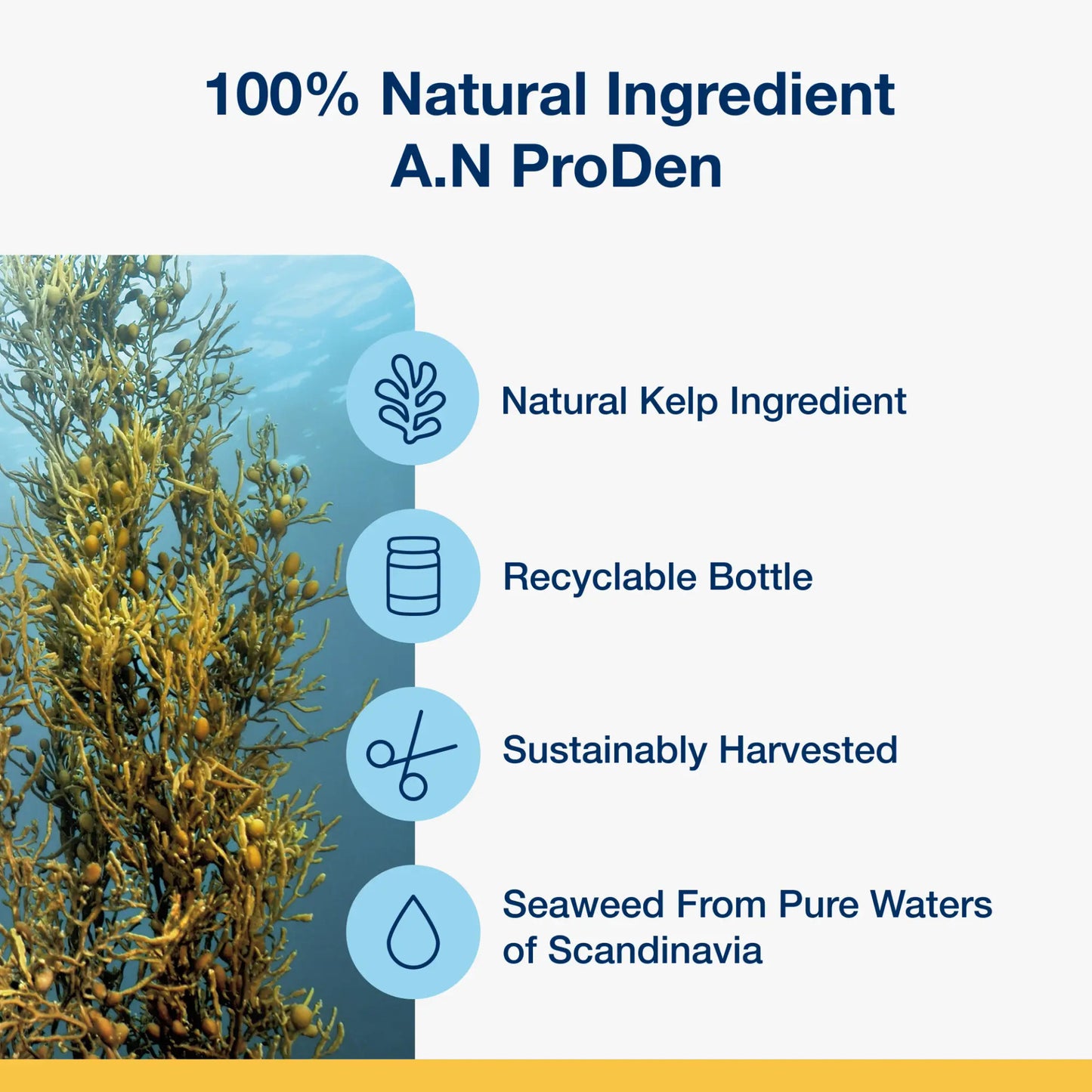 *PREORDER* ProDen - PlaqueOff Dog Powder - 180GM (6.4oz)