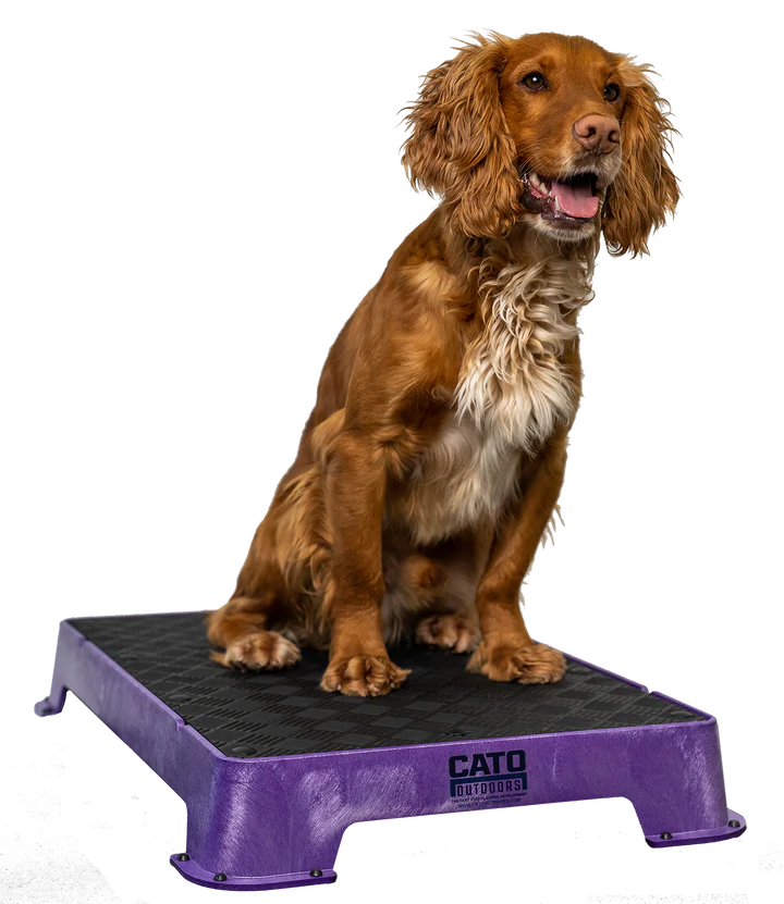 Cato Board Dog Training Platform - 16" x 24"
