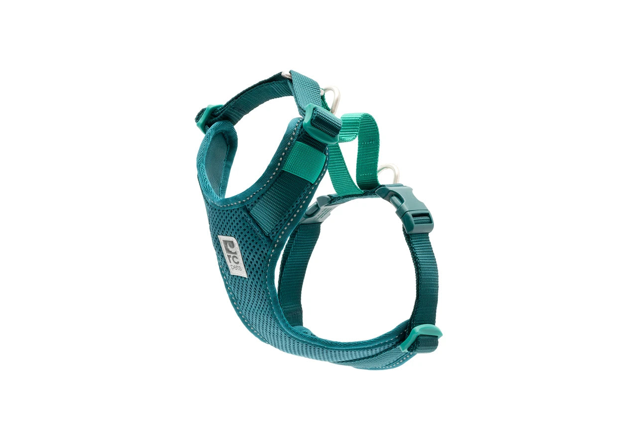 RC Pets - Moto Control Harness - DEEP SEA/PARAKEET - MEDIUM