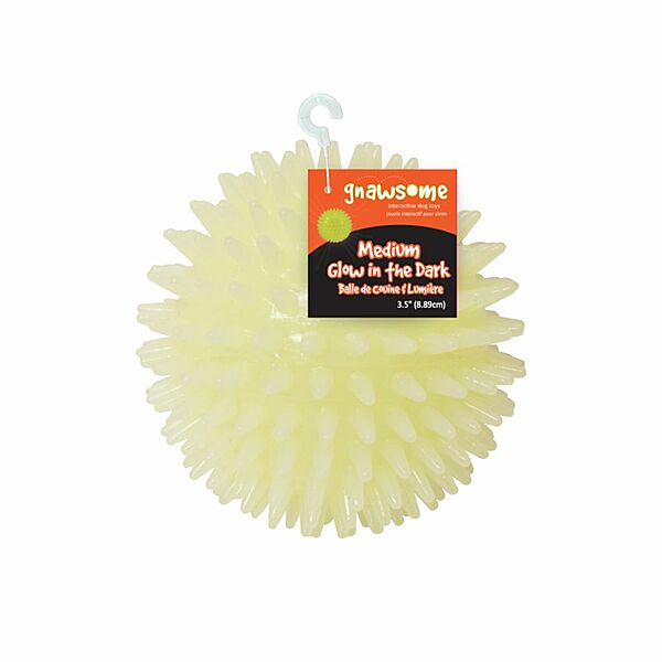 Royal Pet, Glow-in-the-Dark Squeaker Ball Dog Toy, 9CM (3.5in)