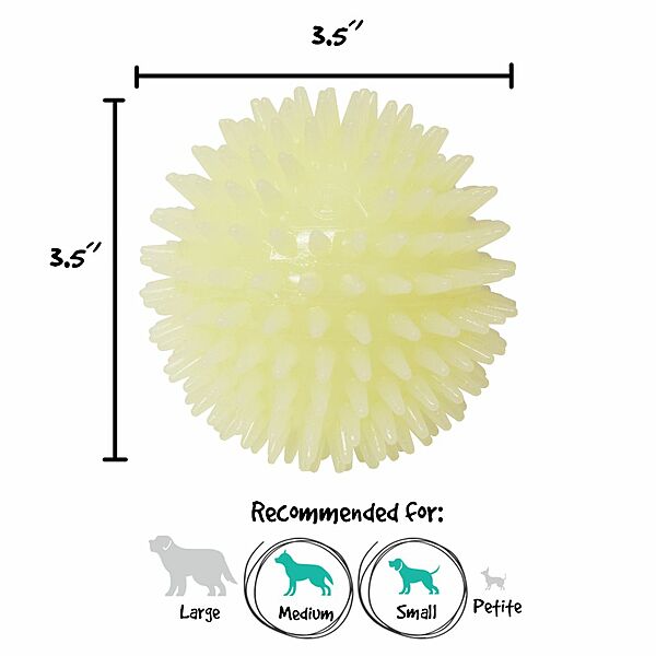 Royal Pet, Glow-in-the-Dark Squeaker Ball Dog Toy, 9CM (3.5in)