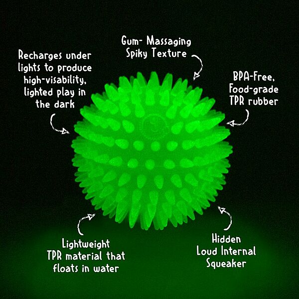 Royal Pet, Glow-in-the-Dark Squeaker Ball Dog Toy, 9CM (3.5in)
