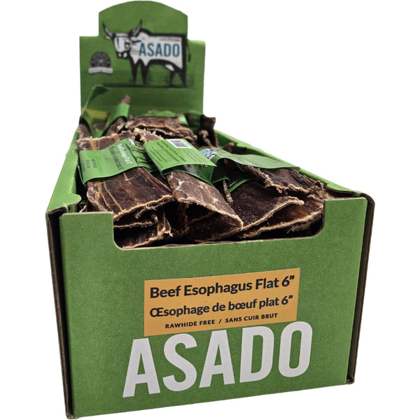 Silver Spur - ASADO BEEF Esophagus Flat Dog Treat - 15CM (6in)