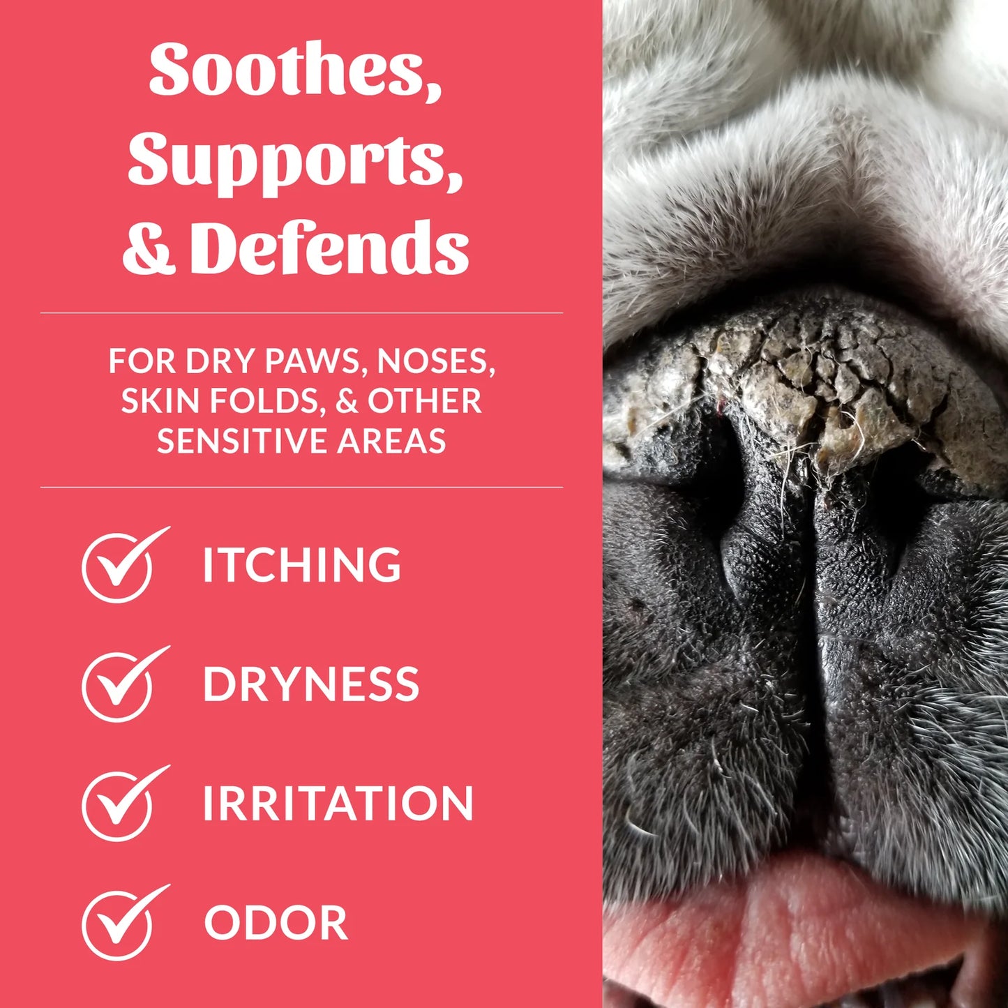 Skouts Honor - Prebiotic Paw + Nose Balm - 59ML (2oz)