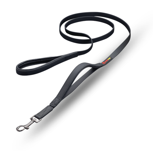 Smellydogz - Double Handle Lead - BLACK - 2CM (0.75in) Width - 183CM (6ft)