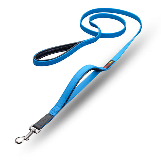 Smellydogz - Double Handle Lead - BLUE - 2CM (0.75in) Width - 183CM (6ft)