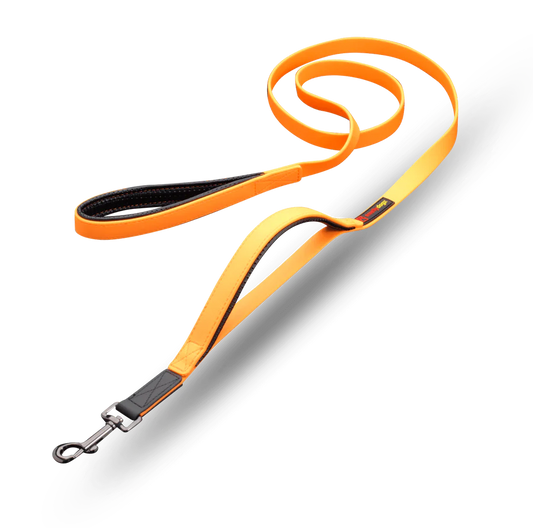 Smellydogz - Double Handle Lead - ORANGE - 2CM (0.75in) Width - 183CM (6ft)