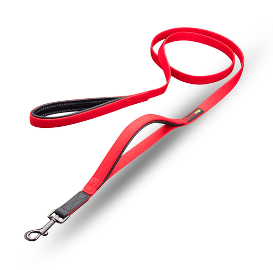 Smellydogz - Double Handle Lead - RED - 2CM (0.75in) Width - 183CM (6ft)