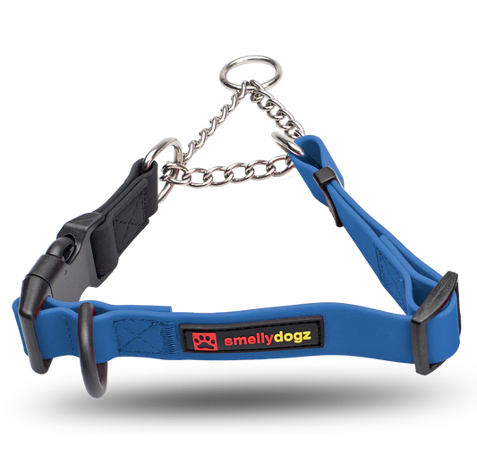 Smellydogz - Martingale Collar - BLUE - 2CM (0.75in) Width - 35.5-46CM (14-18in)