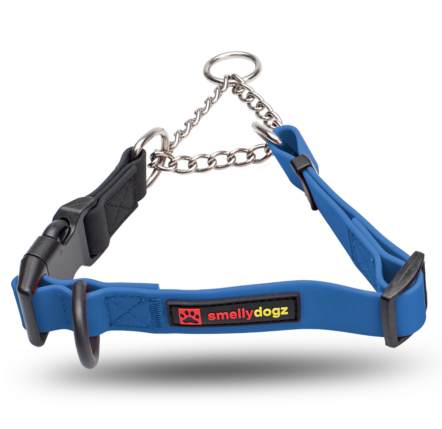 Smellydogz - Martingale Collar - BLUE - 2.5CM (1in) Width - 46-56CM (18-22in)