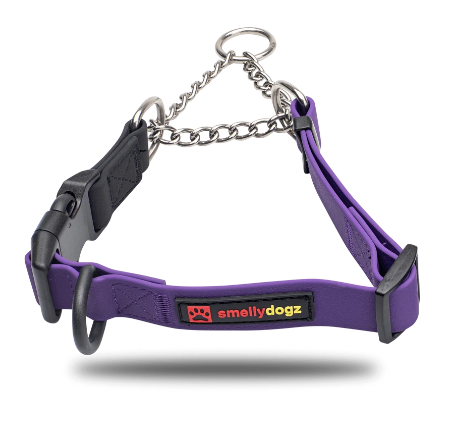 Smellydogz - Martingale Collar - PURPLE - 2.5CM (1in) Width - 46-56CM (18-22in)