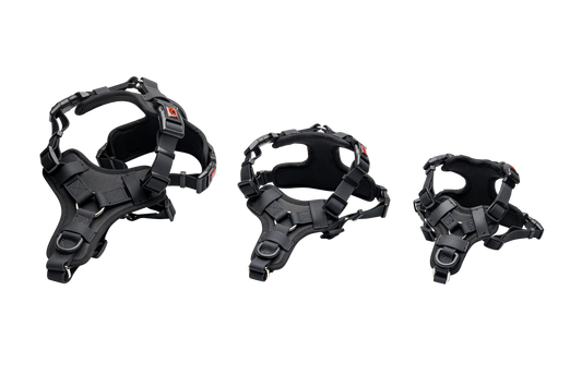Smellydogz - No-Pull Comfort Harness - BLACK - 2.5CM (1in) Straps - LARGE