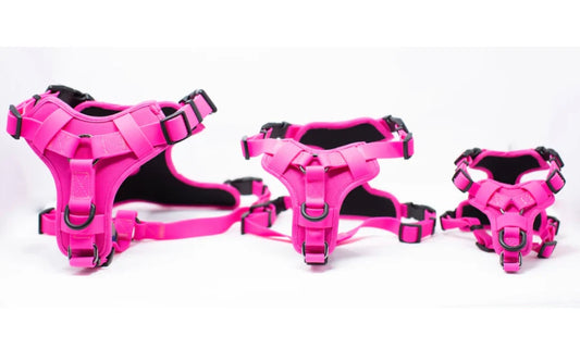 Smellydogz - No-Pull Comfort Harness - PINK - 2CM (0.75in) Straps - MEDIUM