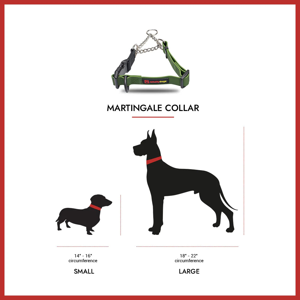 Smellydogz - Martingale Collar - BLACK - 2.5CM (1in) Width - 46-56CM (18-22in)