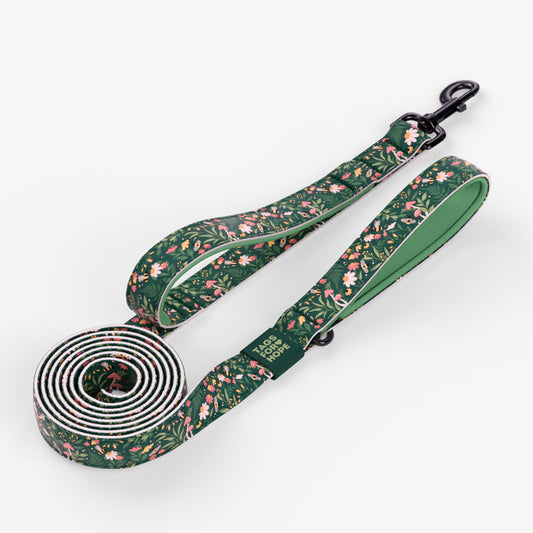 Tags for Hope - Classic Leash with Quick Grab Handle
