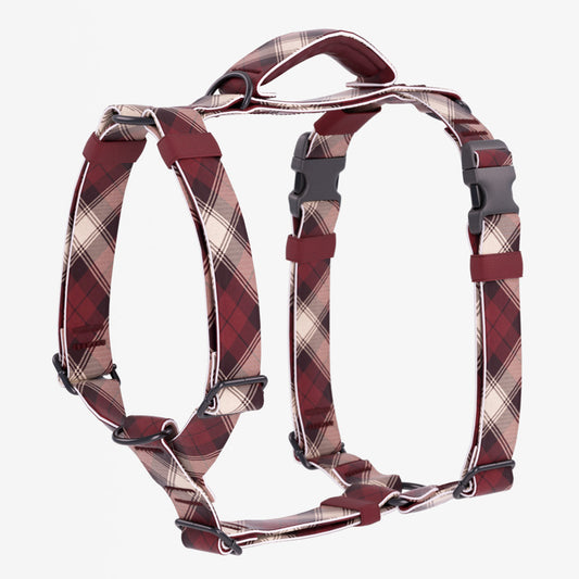 Tags for Hope - Motion Harness