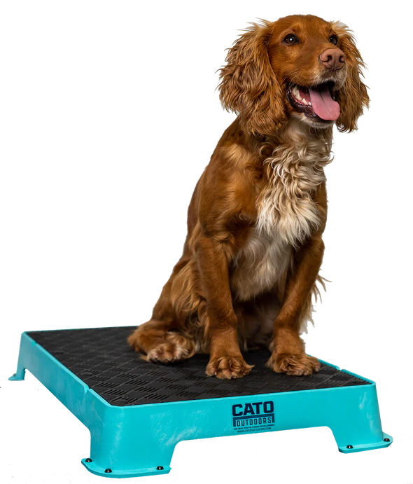Cato Board Dog Training Platform - 16" x 24"