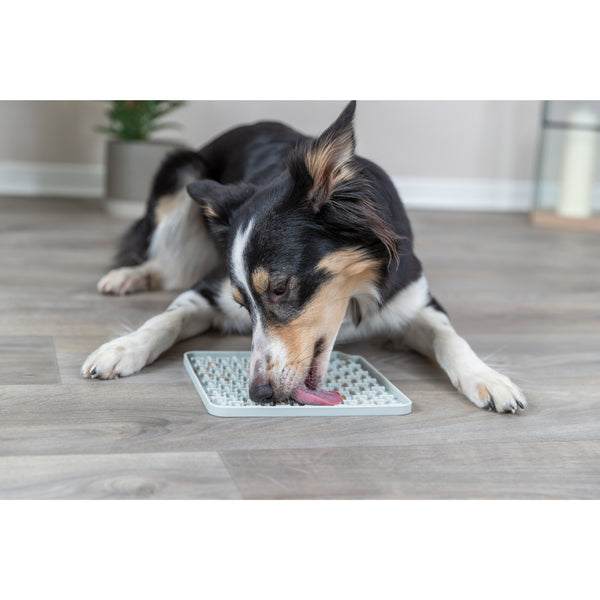 Trixie - Lick'n'Snack Mat Silicone - GREY - 18x18CM (7x7in)