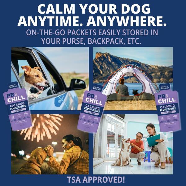Under the Weather - PB & Chill Calming PEANUT BUTTER for Dogs - 32GM (1oz) - SINGLES
