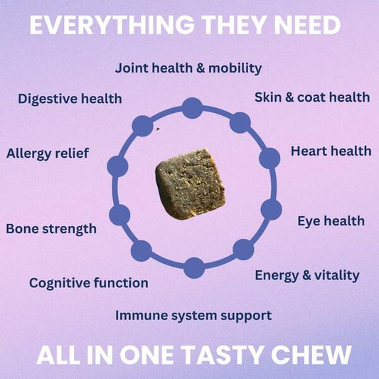*PREORDER* Under the Weather - Soft Chew Multivitamin for Dogs - 120GM (4.23oz) - 60CT