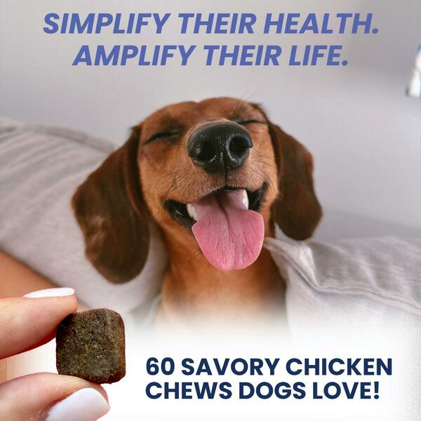 *PREORDER* Under the Weather - Soft Chew Multivitamin for Dogs - 120GM (4.23oz) - 60CT