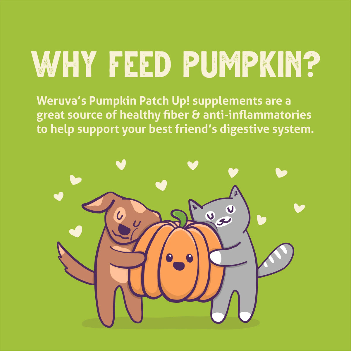 Weruva - PUMPKIN Patch Up with GINGER & TURMERIC for Dogs and Cats - 30GM (1.05oz)