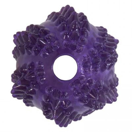 LocalID_54226 JW Pets - Bristl-ee Cactus Ball Dog Toy - 7CM (2.8in)