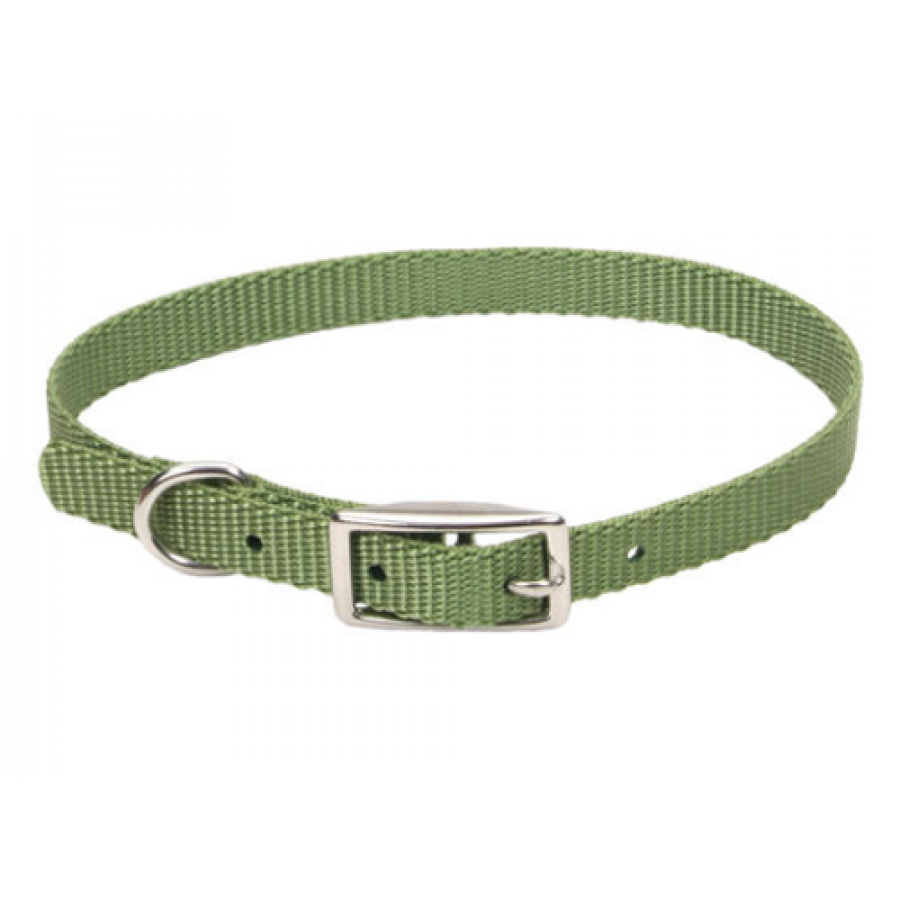 *DISC* Coastal - Standard Buckle Nylon Dog Collar - PALM GREEN - 3/8 x 10in