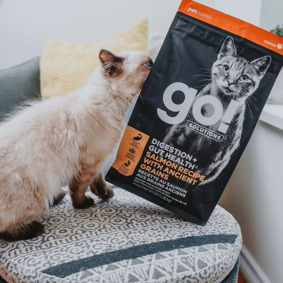 LocalID_64864 Petcurean - GO! Gut Health SALMON & ANCIENT GRAINS Dry Cat Food - 1.36KG (3lb)