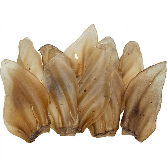 LocalID_62226 Silver Spur - Asado - Cow Ears - BULK