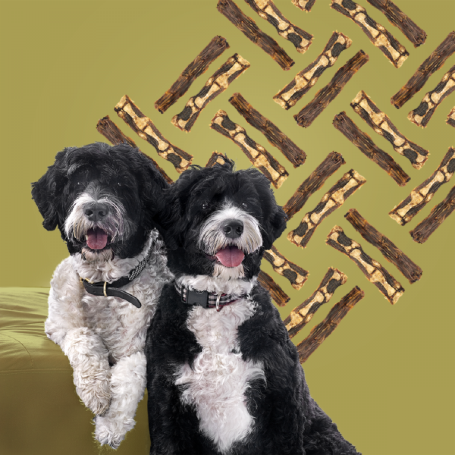 LocalID_68924 Roam - Roo in Two - Outback KANGAROO Dog Chew - 90GM (3.1oz) - 2PK