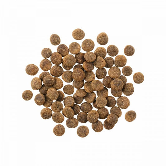 LocalID_67780 Petcurean - GO! Sensitivities GF LID LAMB Dry Dog Food - 5.4KG (12lb)