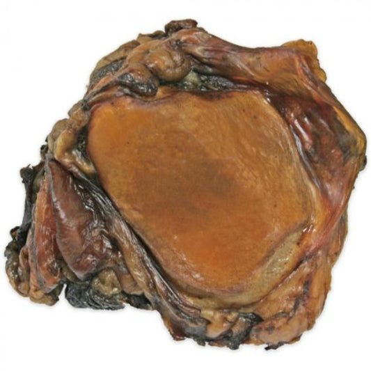 LocalID_67174 Jones Natural Chews - BEEF Knee Caps - SMALL-MEDIUM