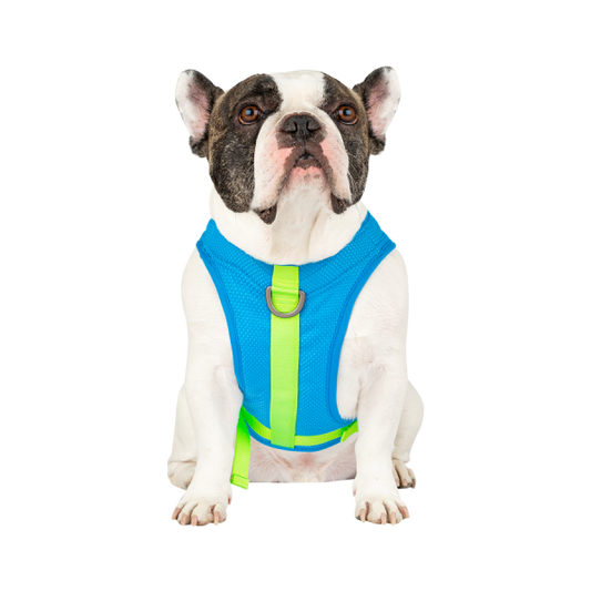 LocalID_60519 Canada Pooch - Chill Seeker Cooling Harness Blue Dog Harness - Size 12