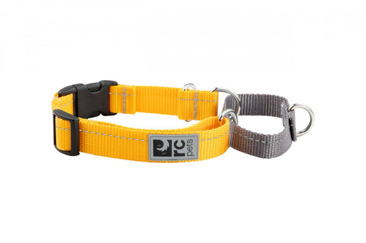 RC Pets - Primary Web Training Clip Collar - MARIGOLD - XSMALL - 0.6in x 7-9in