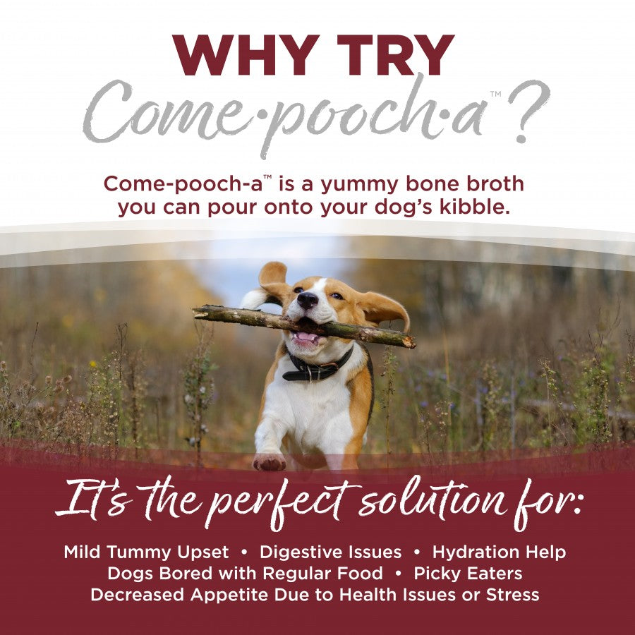 LocalID_71008 NutriSource - Come-Pooch-A BEEF BONE BROTH Dog Topper - 354ML (12oz)