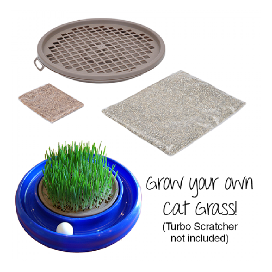 Coastal - Turbo Cat Grass Insert - 25.4CM (10in)