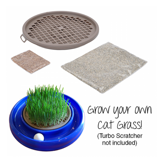 Coastal - Turbo Cat Grass Insert - 25.4CM (10in)