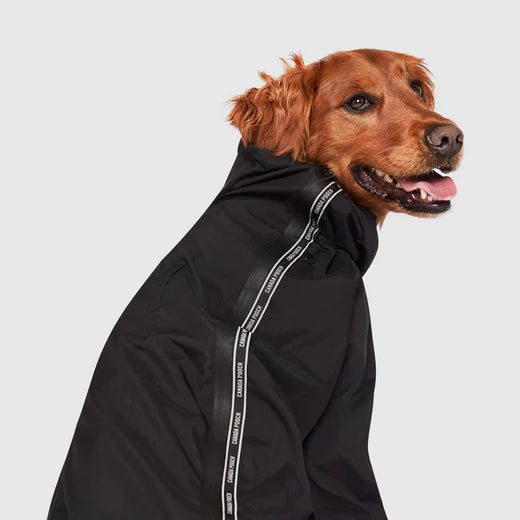 Canada Pooch - The Slush Suit - BLACK - Size 22