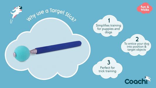 LocalID_70341 Company Of Animals - Coachi - Tricks Target Stick