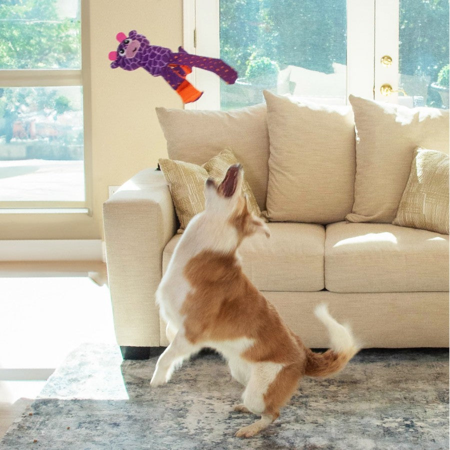 LocalID_71938 Outward Hound - Silly Legz Interactive Plush Giraffe Puzzle Dog Toy