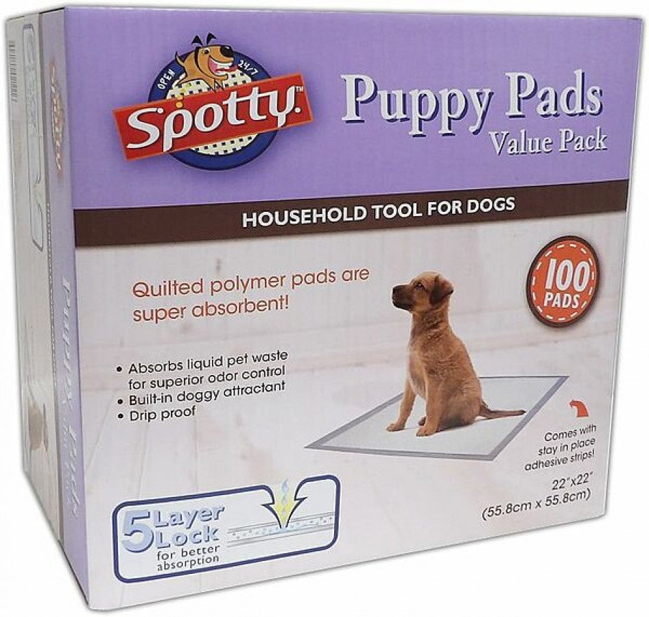 *S.O. - Up to 2 Week Wait* Royal Pet - Spotty Training Place Puppy Pads - 55.8CM x 55.8CM (22 x 22in) - 100PK