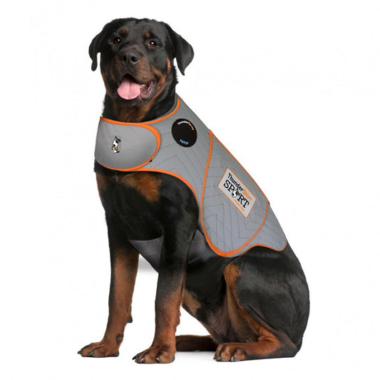 Thunderworks - Thundershirt - Sport Platinum Anxiety Solution for Dogs - XXLARGE - Over 50KG (110lb)