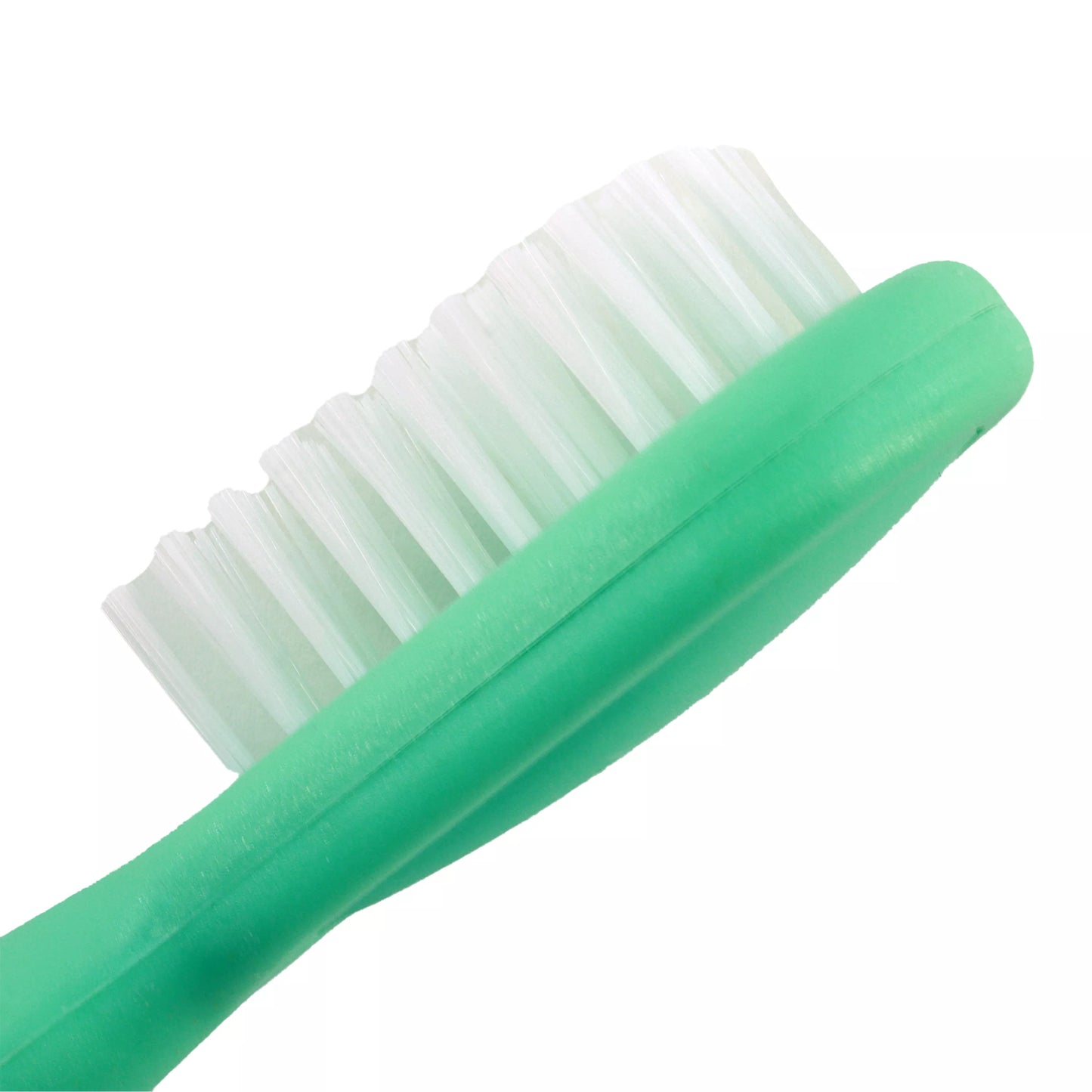LocalID_71760 Coastal - Lil Pals Bristle Brush - 14CM (5.5in)