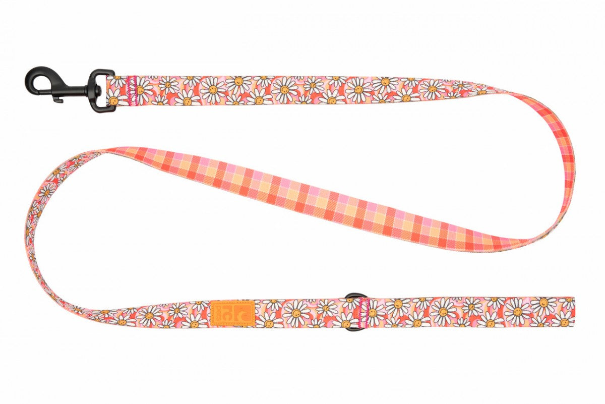 LocalID_70706 RC Pet - Eco Leash - DAISY JOY - 1in x 5ft