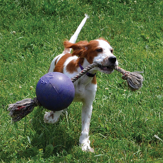 LocalID_69705 Jolly Pets - Romp N Roll Ball with Rope Dog Toy - BLUE - 15.25CM (6in)