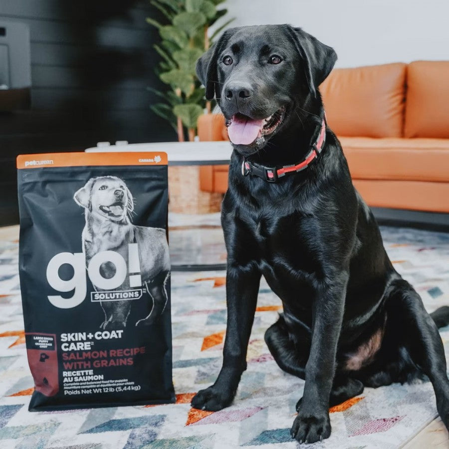 *S.O. - Up to 2 Week Wait* Petcurean - GO! Skin and Coat SALMON LARGE BREED PUPPY Dry Dog Food - 5.44KG (12lb)