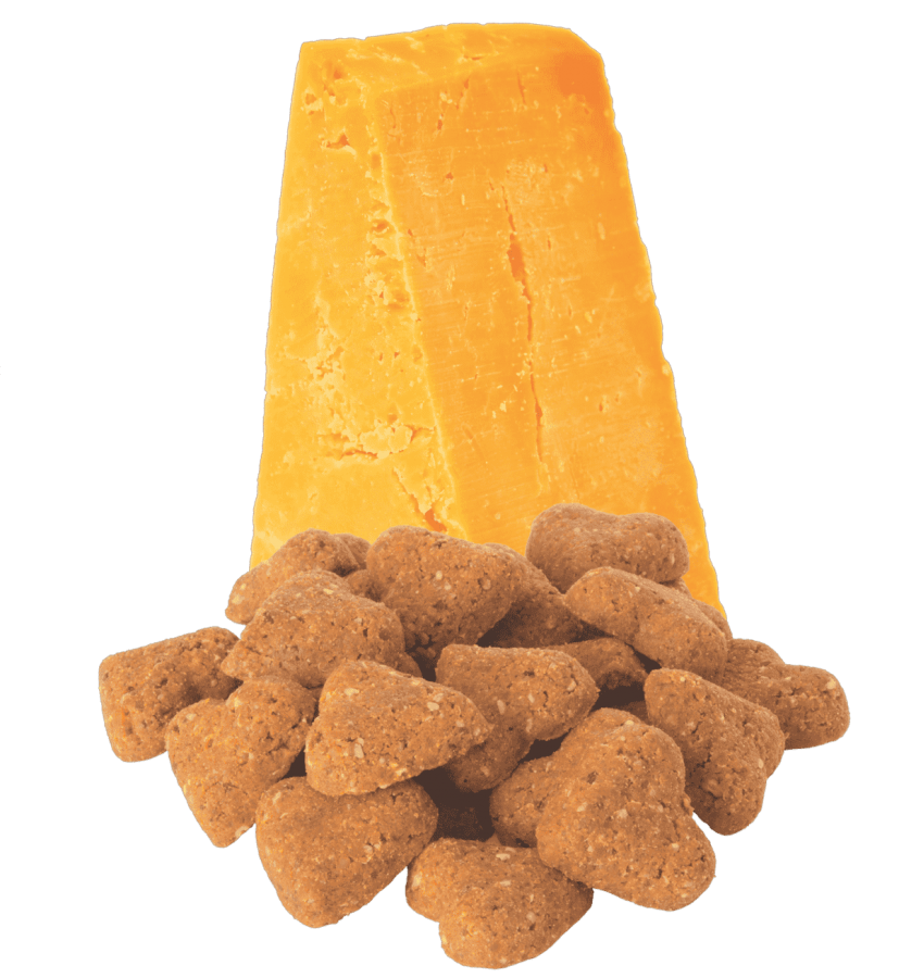 LocalID_68187 Darford - GF CHEDDAR CHEESE Recipe MINIS Dog Treat - 340GM (12oz)
