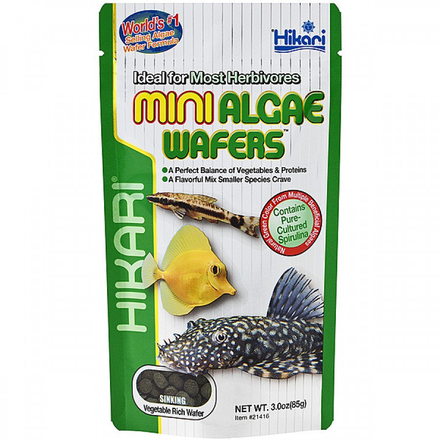 LocalID_64553 Hikari - Sinking Mini Algae Wafers - 85GM (3oz)